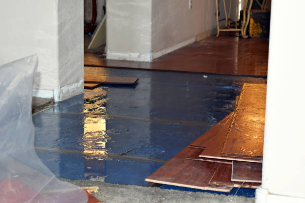 Professional Basement Flood Cleanup technician working in Chattaroy, WA